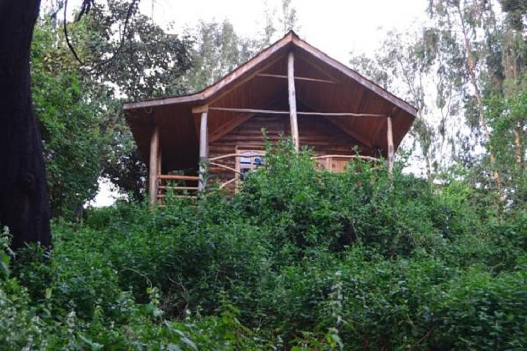 Lake Bunyonyi Eco Resort Chabahinga Стая снимка
